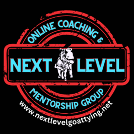 Next Level Online Coaching and Mentorship Group